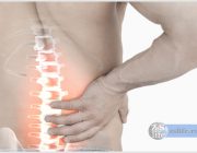 Позвоночный столб